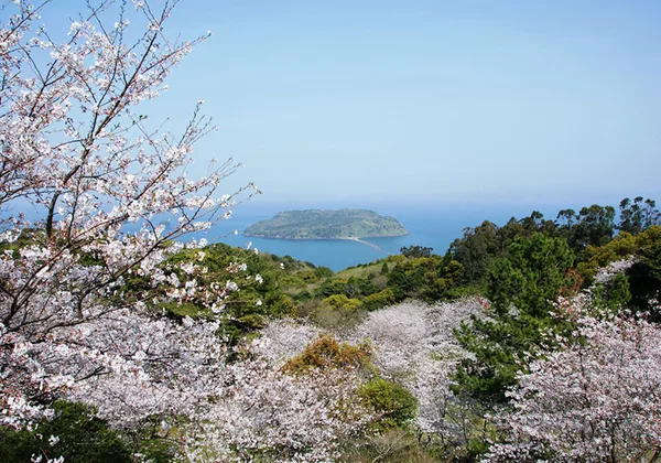 en seasons spring img 10