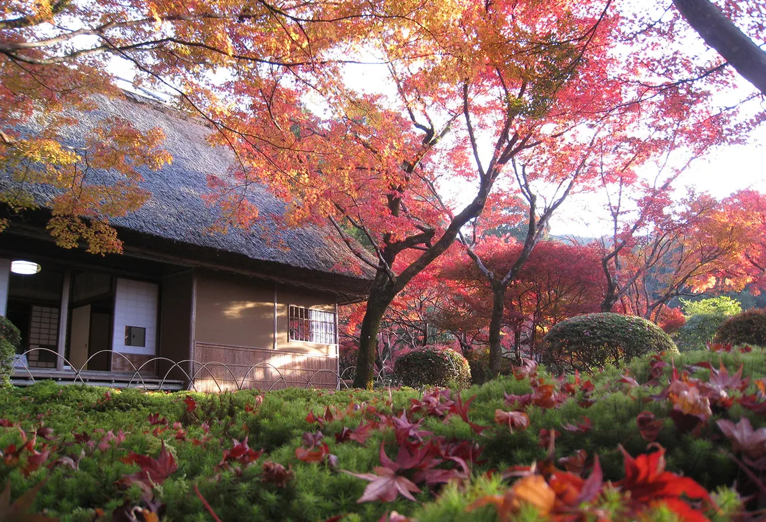 Seasons
