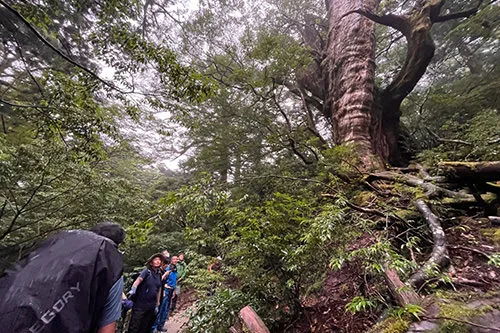 Kyushu Exciting Experience Reservation