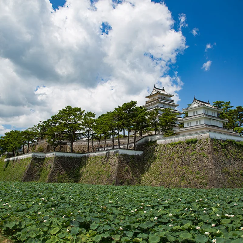 historic-sites-and-seaside-adventures img 13