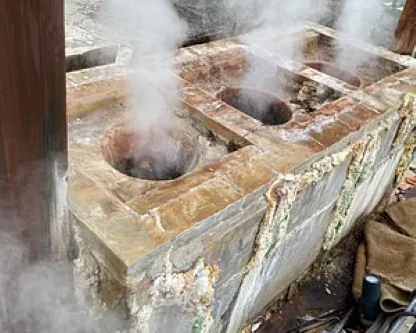 Beppu Kannawa Jigokumushi Tour (with guided tour and meals)