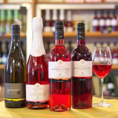 Winery Tour at Tsuno Wine (w/ Light Meal, Start at Takachiho / End in Miyazaki Station)