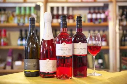 Winery Tour at Tsuno Wine (w/ Light Meal, Start at Takachiho / End in Miyazaki Station)