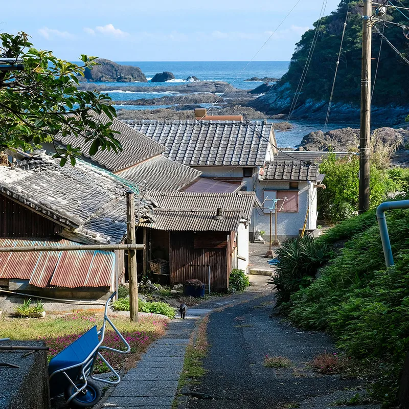 cultures-modern-ancient-japan img 22