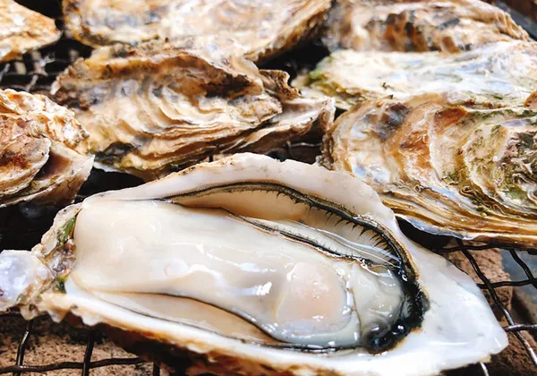 en seasons winter day2-oyster img 04