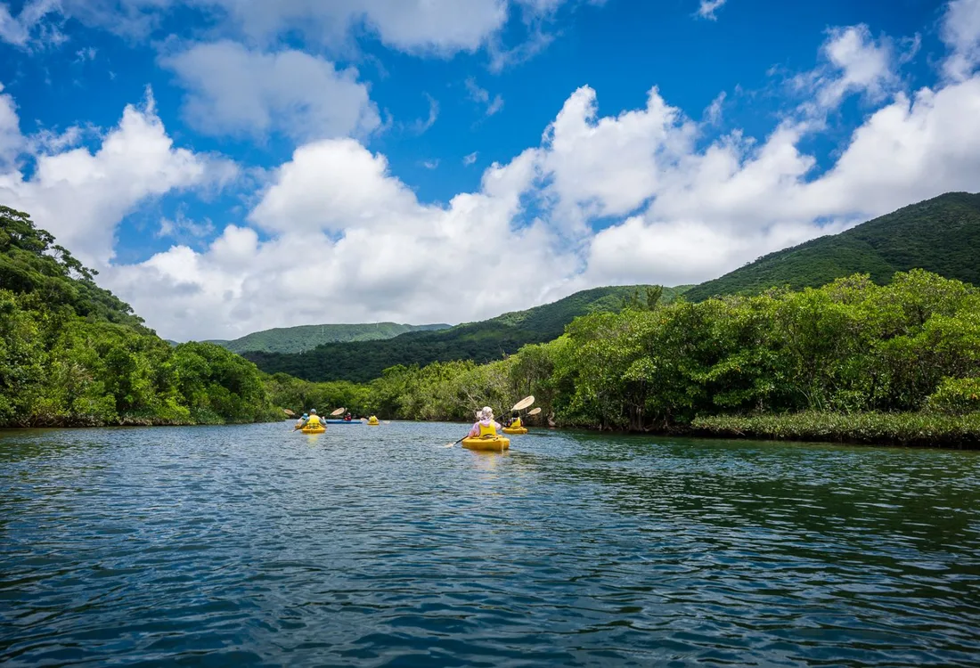 Kayakking,Cycling:A journey to experience the rich climate and lifestyle of the World Natural Heritage Site Amami-Oshima, nurtured by the "Kuro-shio″