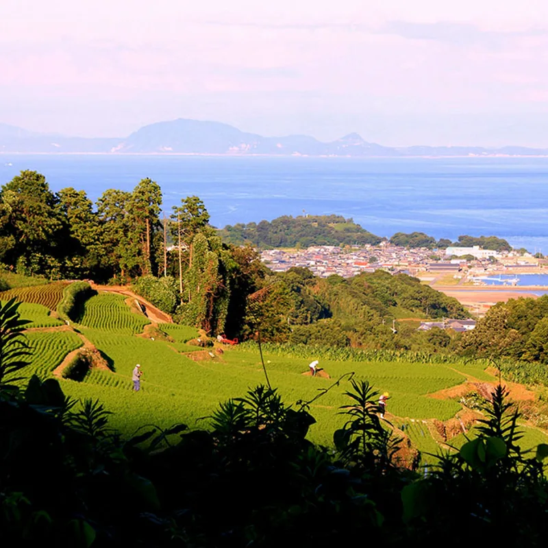 minami-shimabara img 13