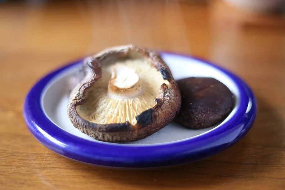 oitas-agricultural-heritage-storied-history-shiitake-mushrooms 09