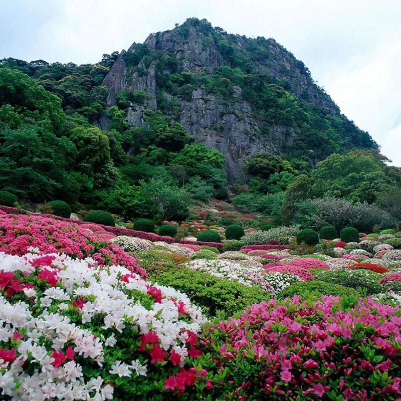taste-kyushu img 11
