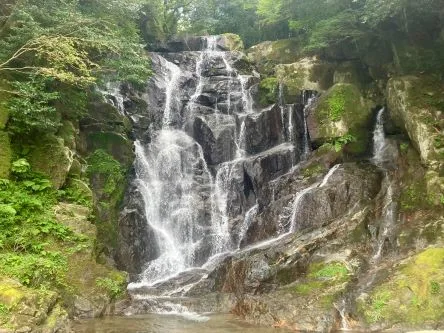 Feel the Power of Itoshima - Private Car Tour