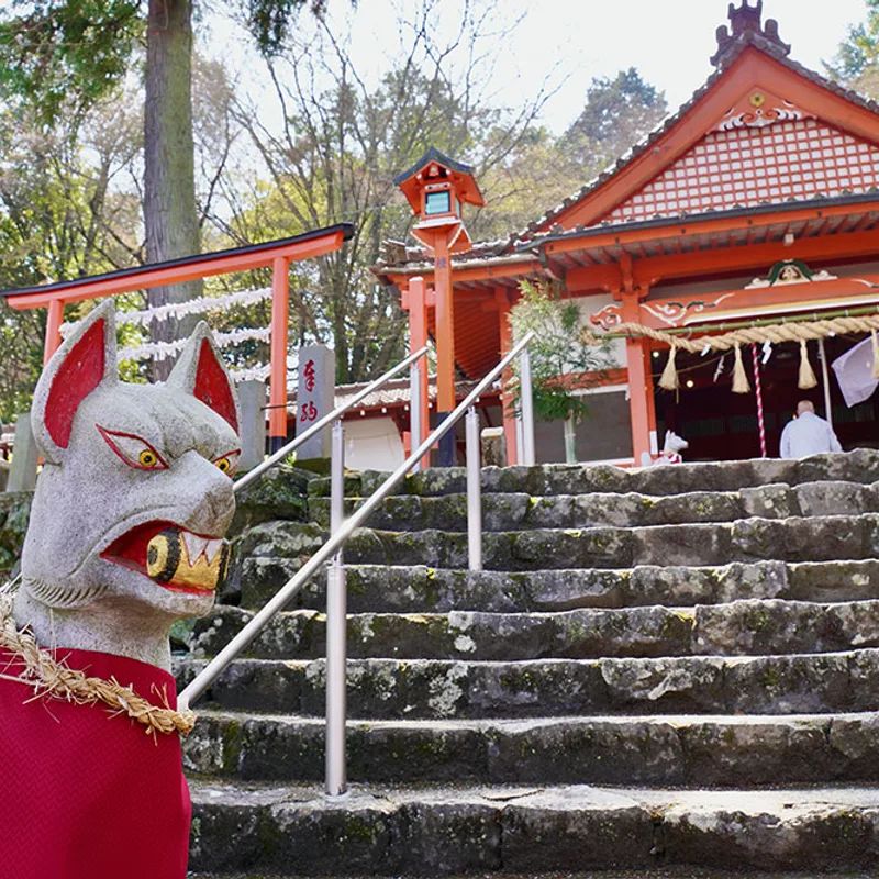 journey-countryside-and-pottery-northern-kyushu img 23
