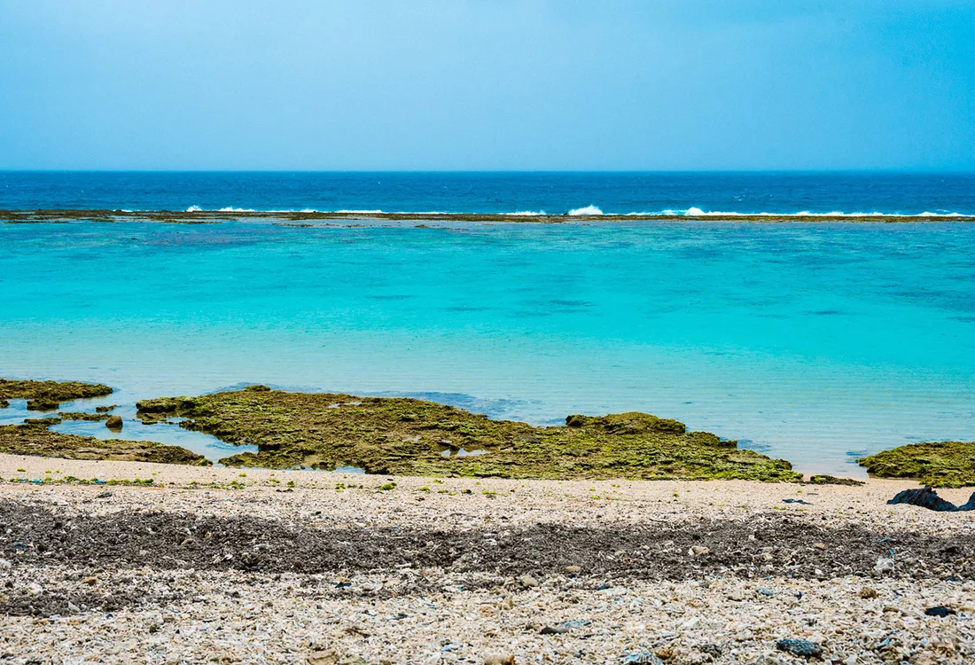 Amami-Oshima and Tokunoshima Natural World Heritage Sites