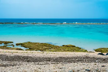 Amami-Oshima and Tokunoshima Natural World Heritage Sites: