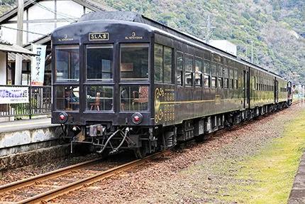 Shinkansen special train