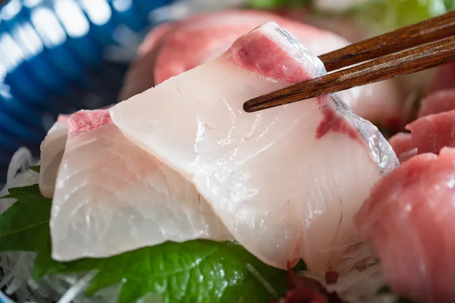 kinko-bays-kanpachi-fresh-mineral-rich-premium-fish-from-kagoshima 04