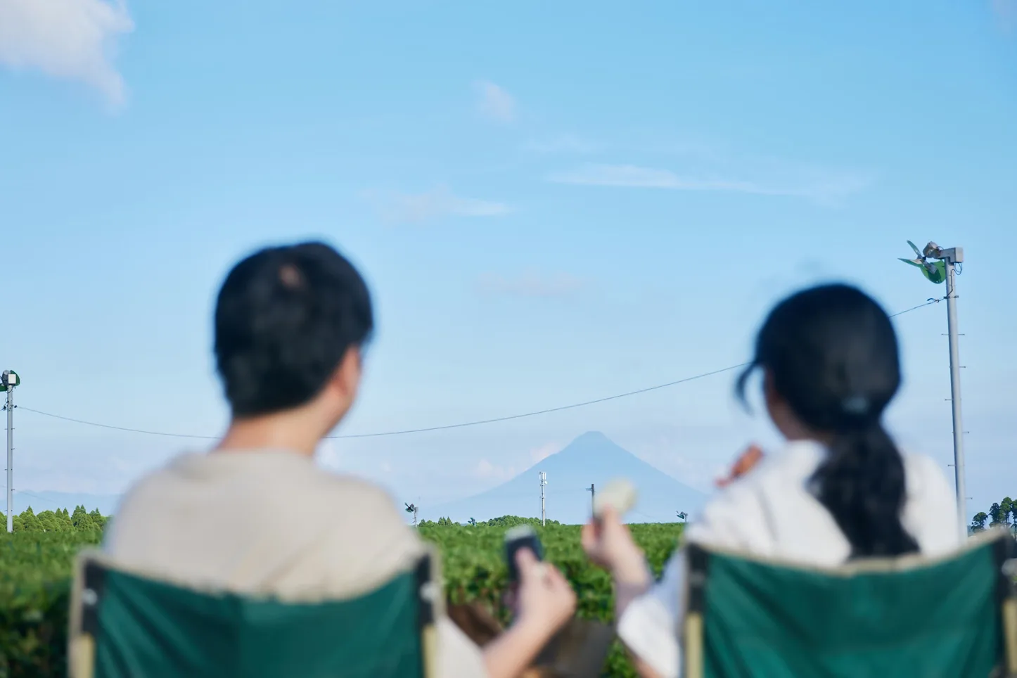 Chiran Tea Plantation Tour and Lunch (Taxi Service to & from Kagoshima Chuo Station Included)