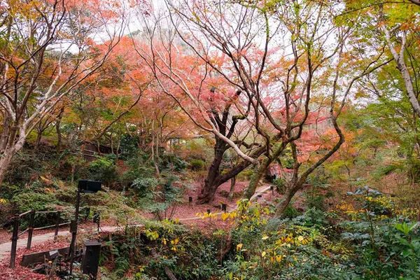 en seasons autumn arita-kanzaki-and-asakura img 13