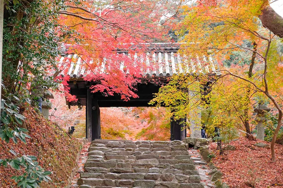 en seasons autumn arita-kanzaki-and-asakura img 25