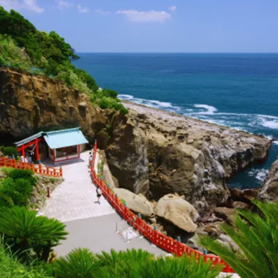 Miyazaki Highlights: Aoshima Shrine, Udo Jingu Shrine & Obi Castle Town Walk
