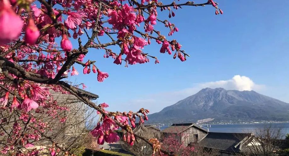en seasons spring img 14