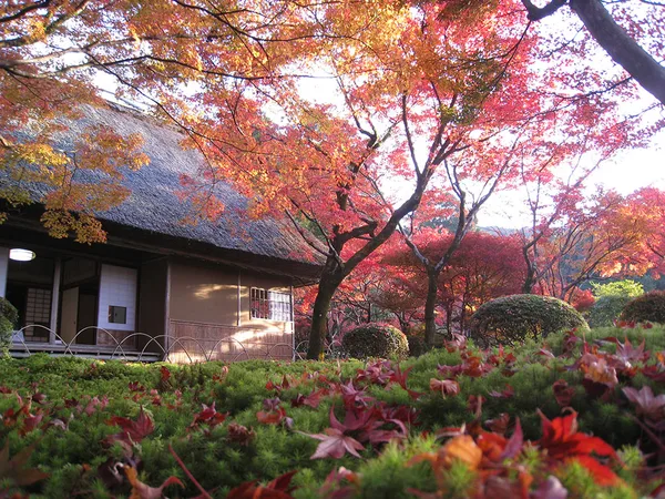 en seasons autumn arita-kanzaki-and-asakura img 10
