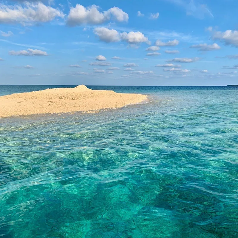 amami-oshima-and-tokunoshima-natural-world-heritage-sites img 19