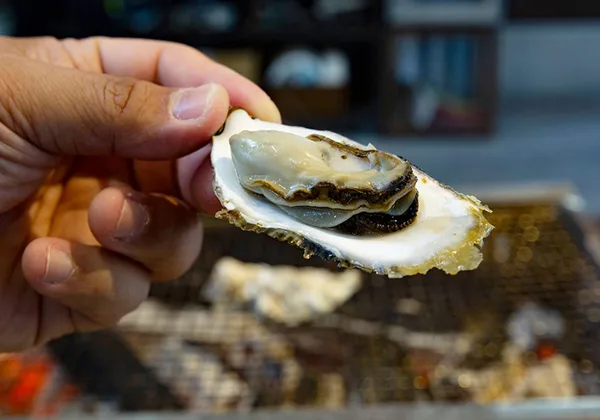 en seasons winter day2-oyster img 05