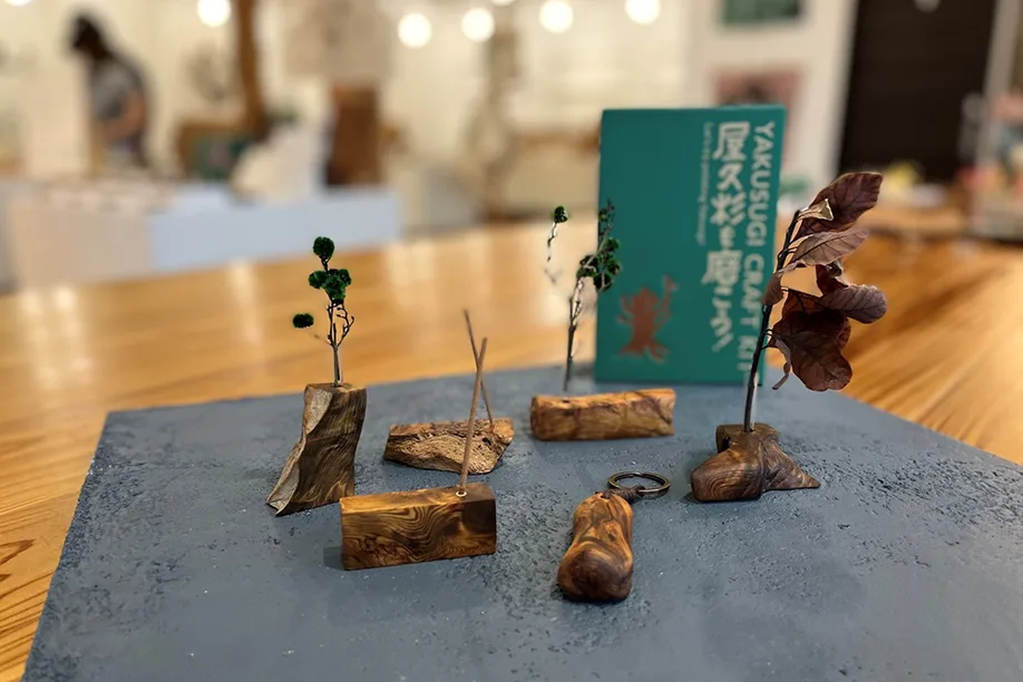 02 YAKUSHIMA 06