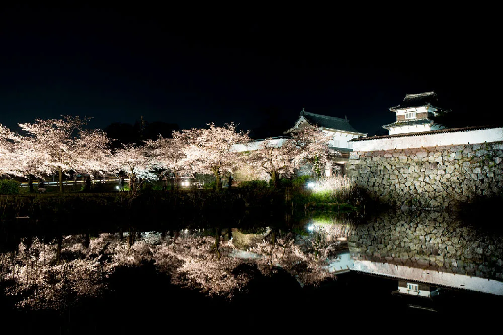 Time Out Magazine recommends Fukuoka's Maizuru Park for cherry blossom viewing.