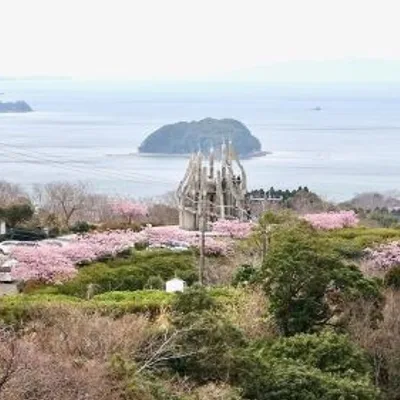[Ashikita Town, Kumamoto Prefecture] Scenic Seaside Footpath Walk and Wild Fish Bamboo Roll Gourmet