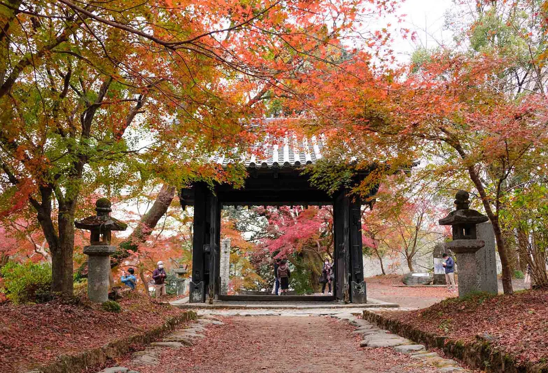 Autumn