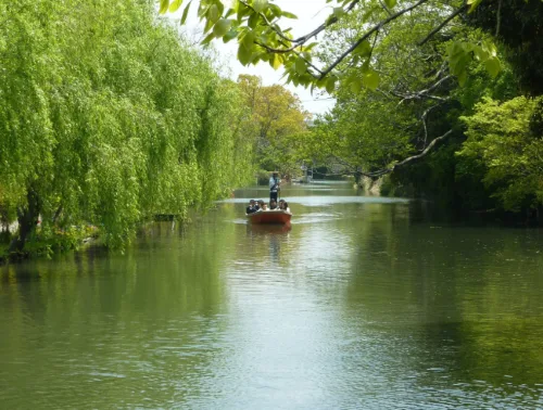 Yanagawa River Cruise, Unagi no Seiro-mushi Lunch, and Yame Tea Ceremony at Maruya Sabo