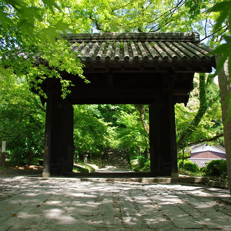 journey-countryside-and-pottery-northern-kyushu img 25