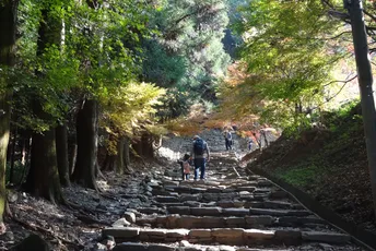 A two-day trip in Kurume:2 day tour featuring Mt. Kora Nature Walk and Japanese Craft experiences in cool Kurume
