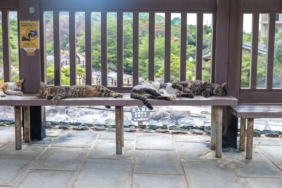 unzen-032