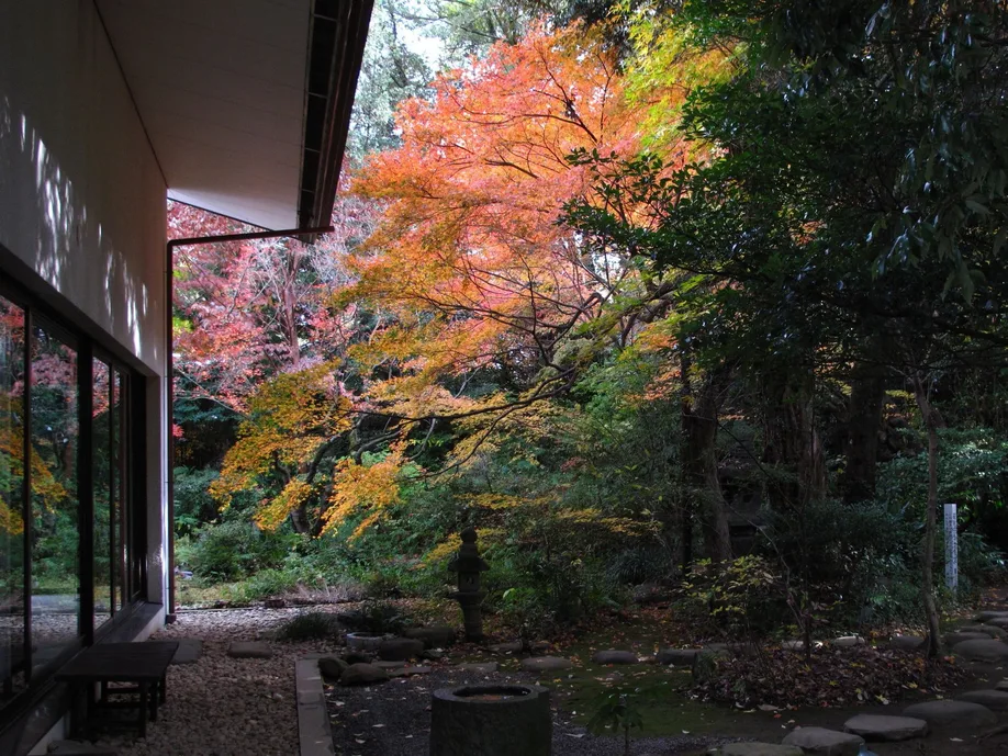 waj_kyushu_01_body_004