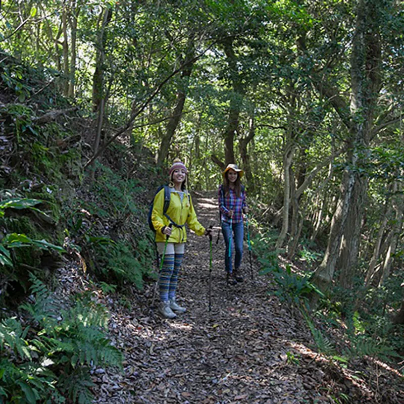 kurume img 05