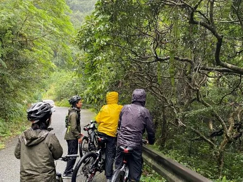 A journey to experience the rich climate and lifestyle of the World Natural Heritage Site Amami-Oshima, nurtured by the "Kuro-shio″