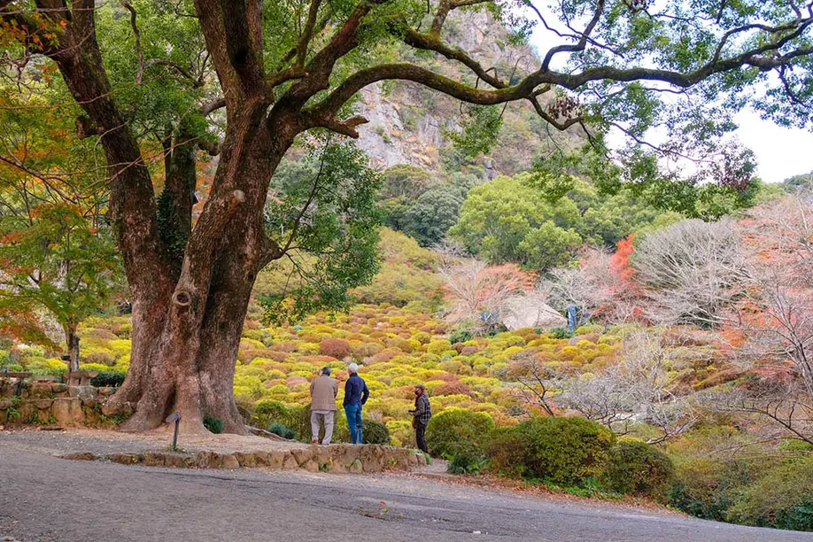 en seasons autumn arita-kanzaki-and-asakura img 26