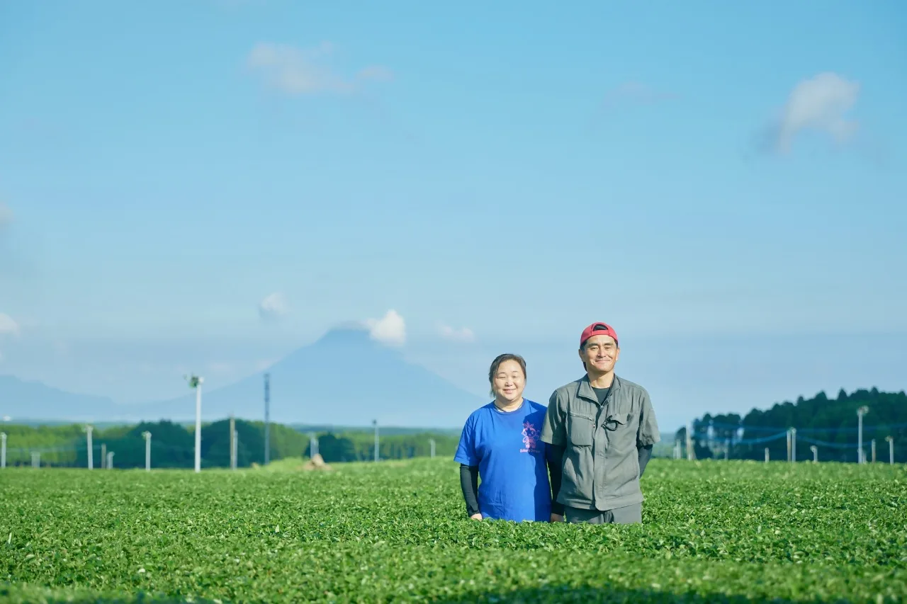 Kagoshima: Japan's Top Producer of Crude Tea! Enjoy the Tea Culture in Chiran! Chiran Tea Plantation Tour and Lunch