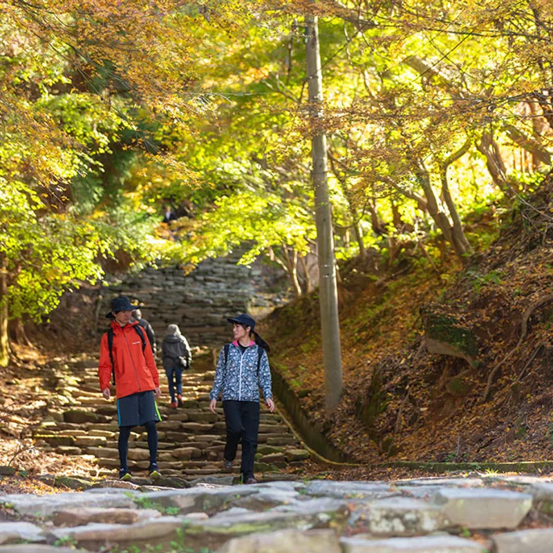 kurume img 07