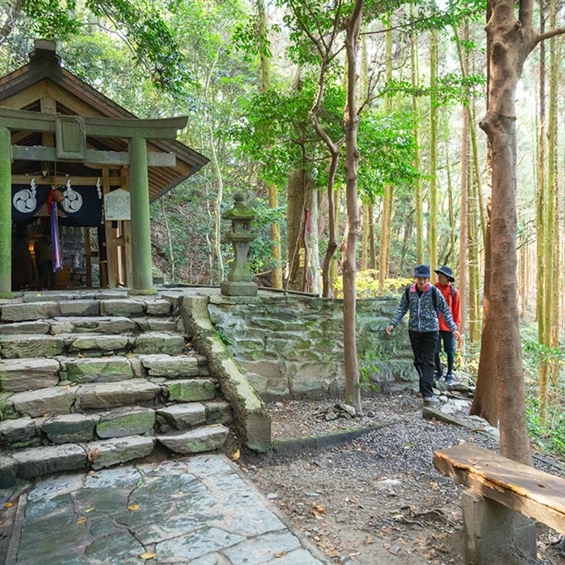 kurume img 04