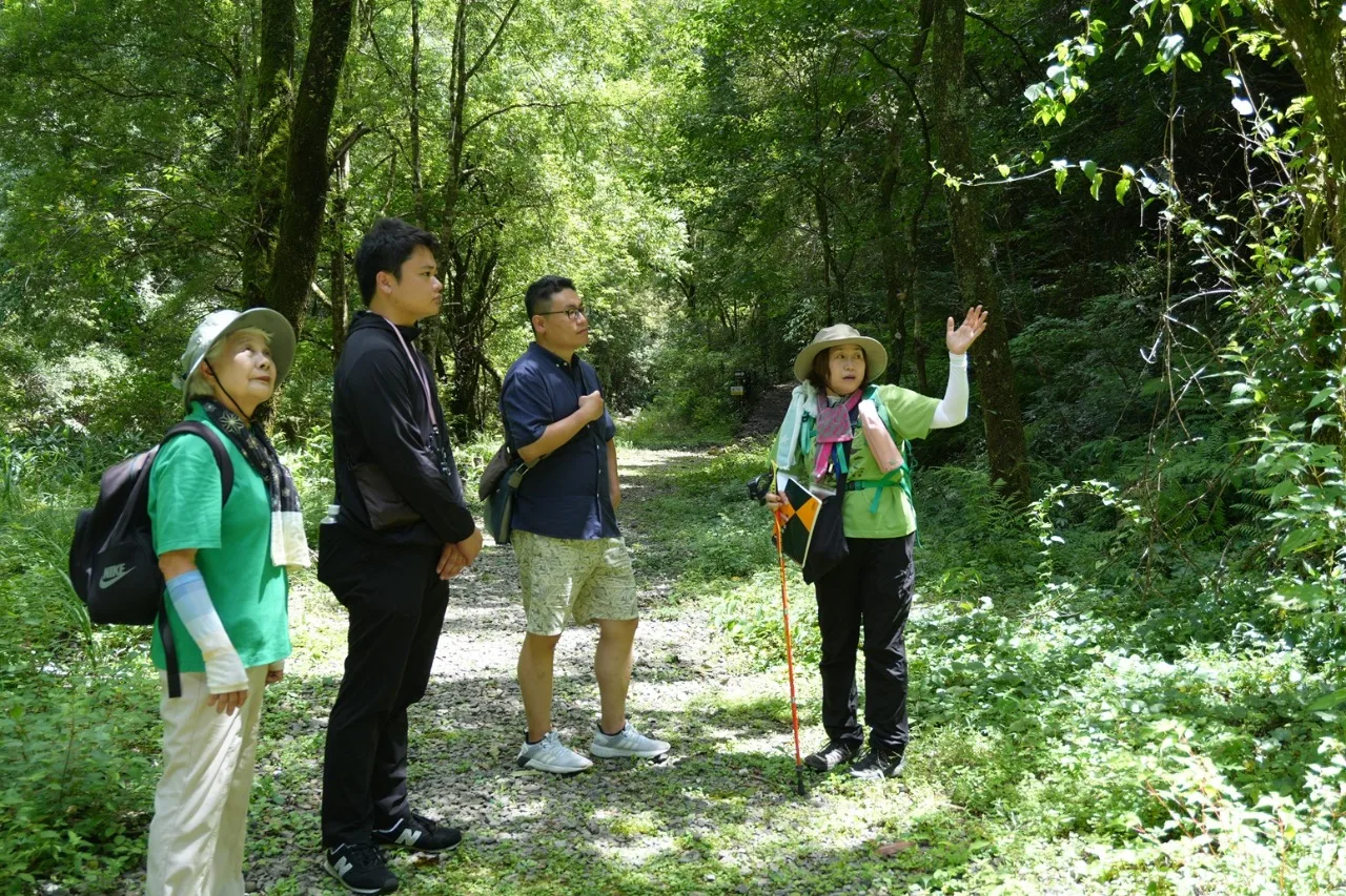 Forest Walk & Peeking into the Miniature World of Moss – "Inohae Valley" Forest Therapy Experience