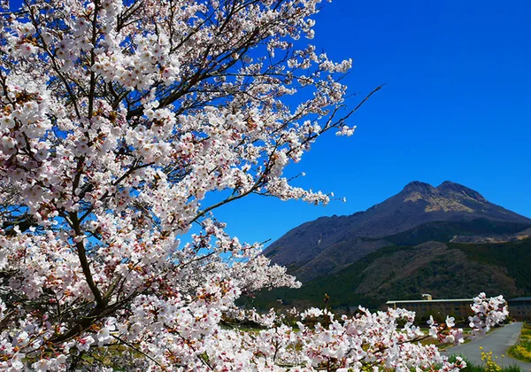 en seasons spring img 11