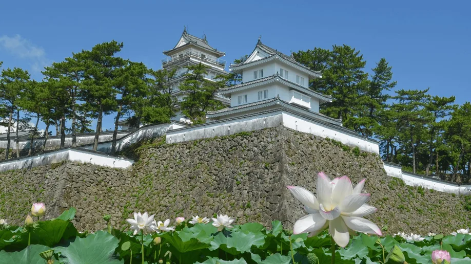 waj_kyushu_04_body_002