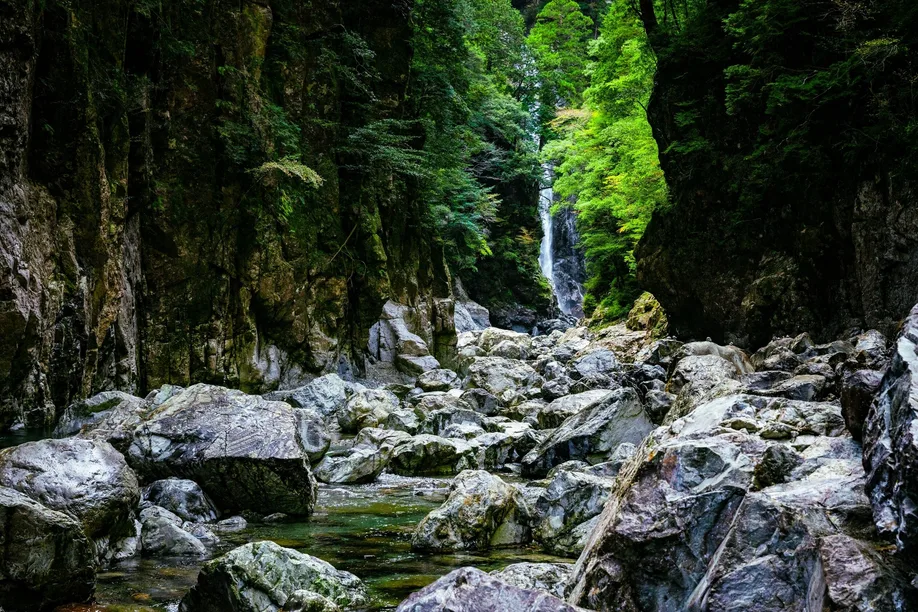 waj_kyushu_02_body_001