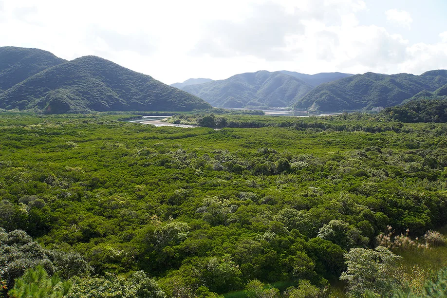 amami-oshima_01
