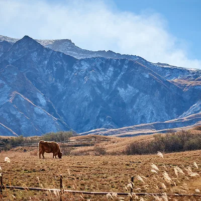 Aso Kuju National Park