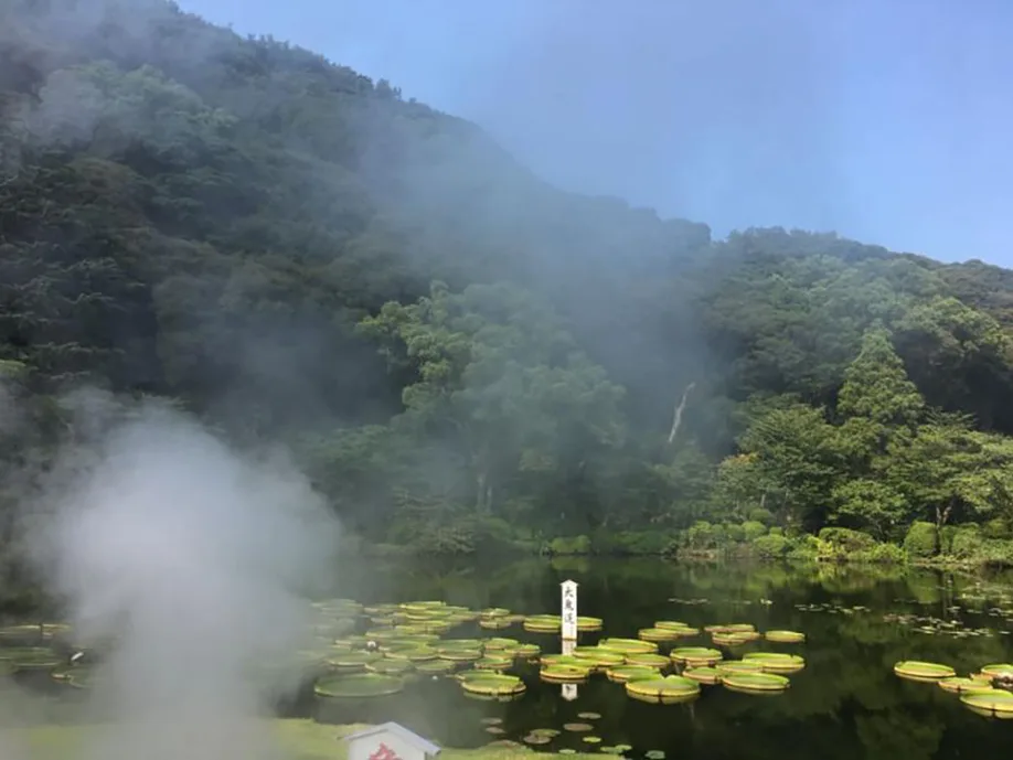 beppu-onsen-every-taste_05