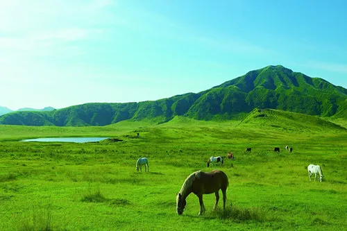 Go For A Drive Around the Aso Caldera & Other Fantastic Outdoor Spots!